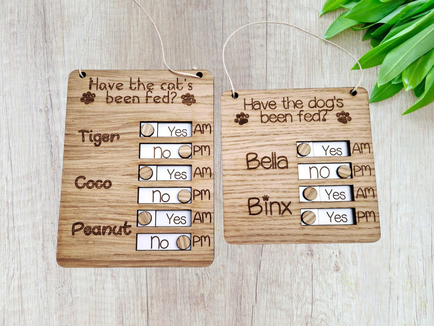 Personalised Pet feeding tracker cat dog