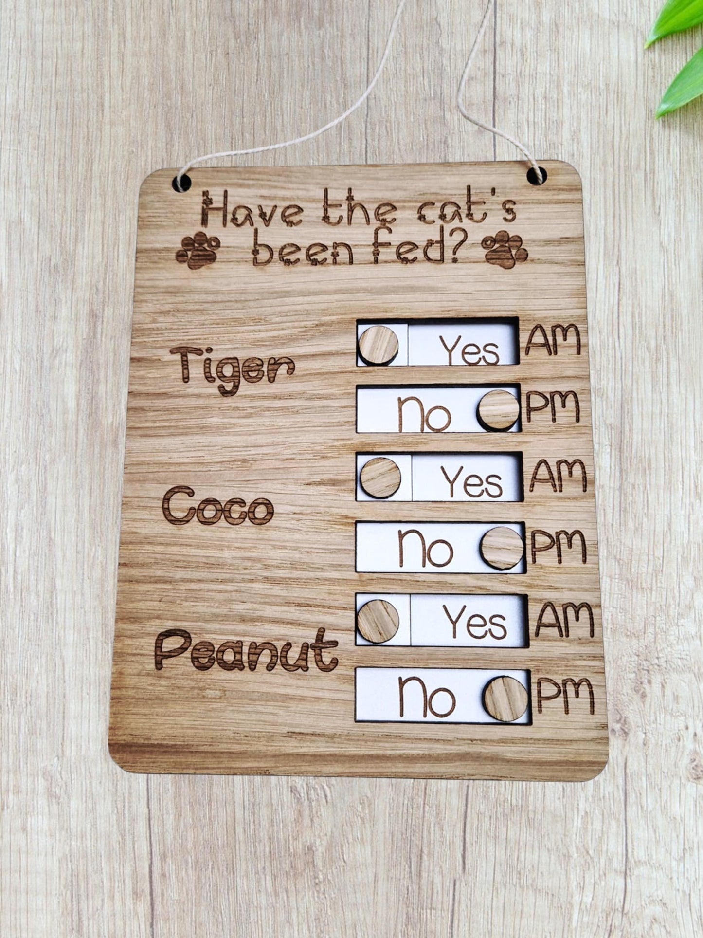Personalised Pet feeding tracker cat dog