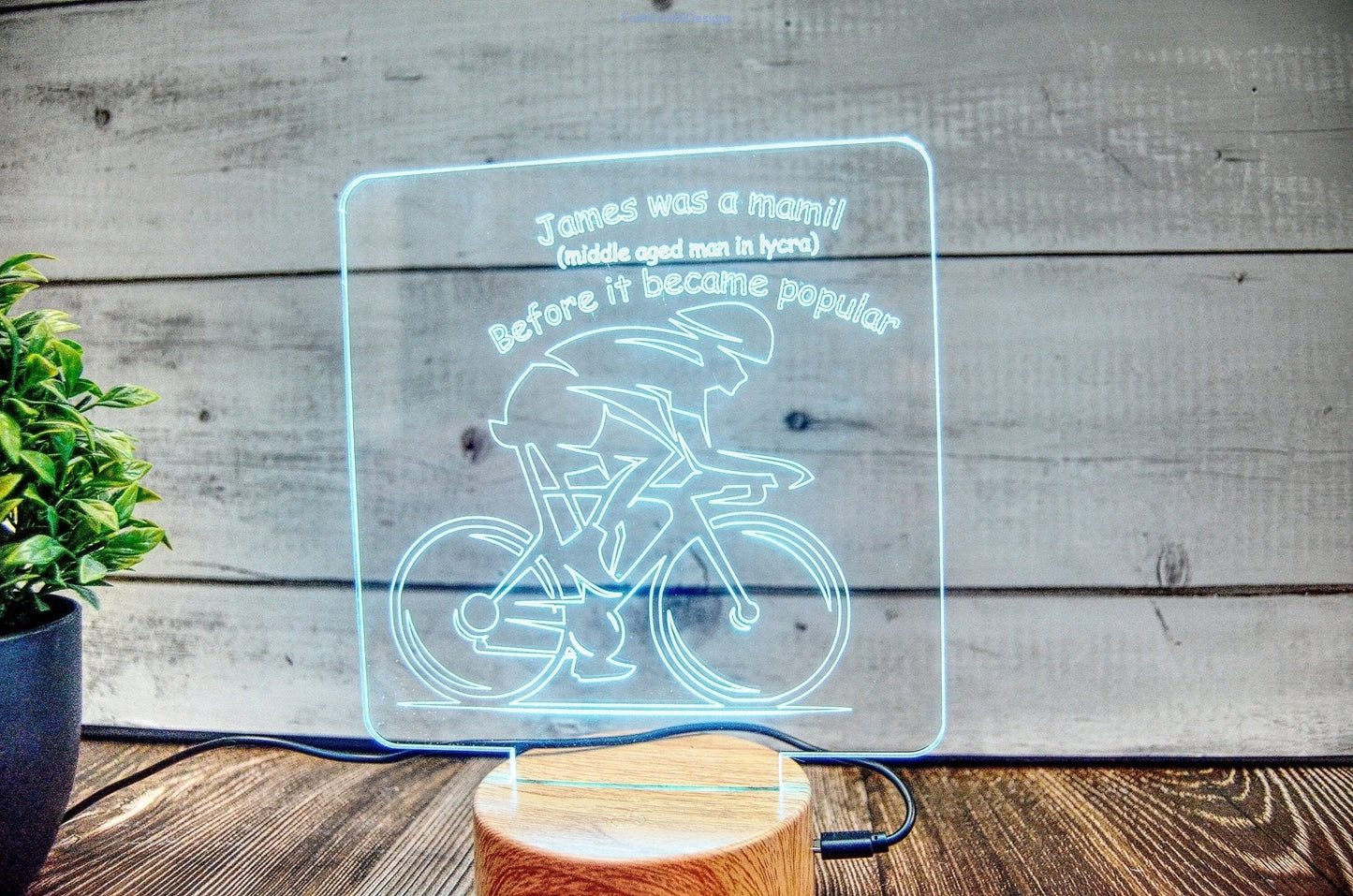 LED night light , personalised sign, custom light