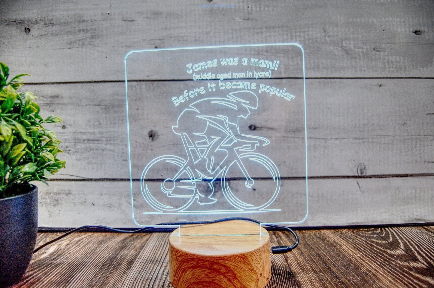 LED night light , personalised sign, custom light