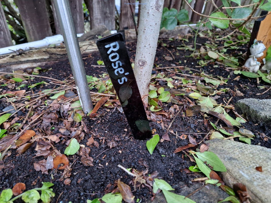 Garden plant markers Vegetable stakes