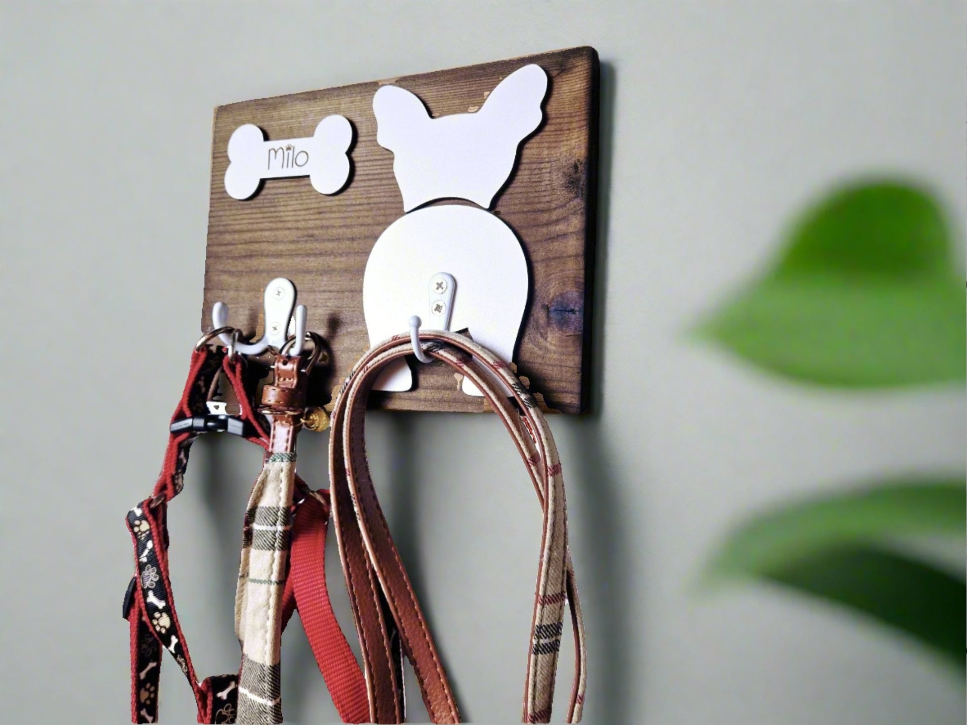 Personalised wooden Dog leash hanger with hooks - Main Image